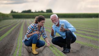 à l’extérieur, agricoles